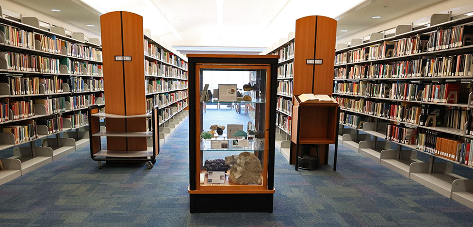 FAU Davie Library