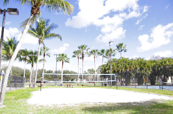 beach volleyball