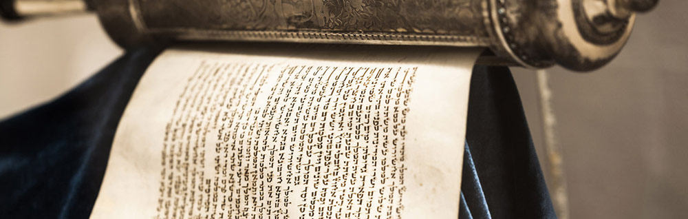 jewish studies banner