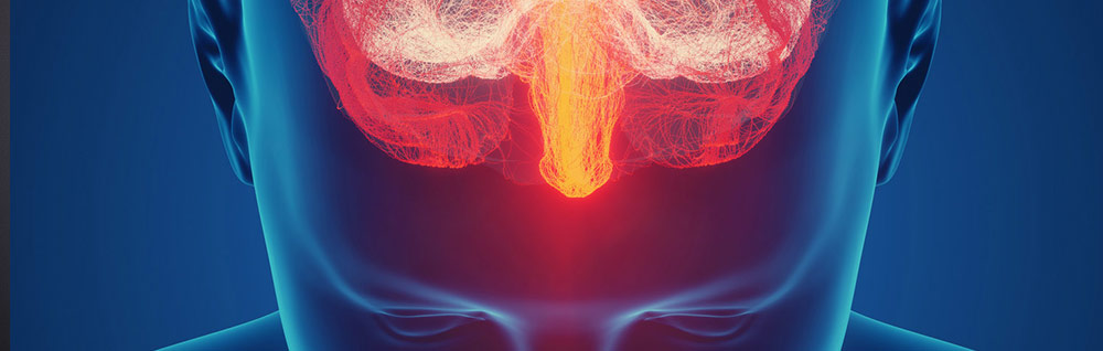 neuroscience behavior banner