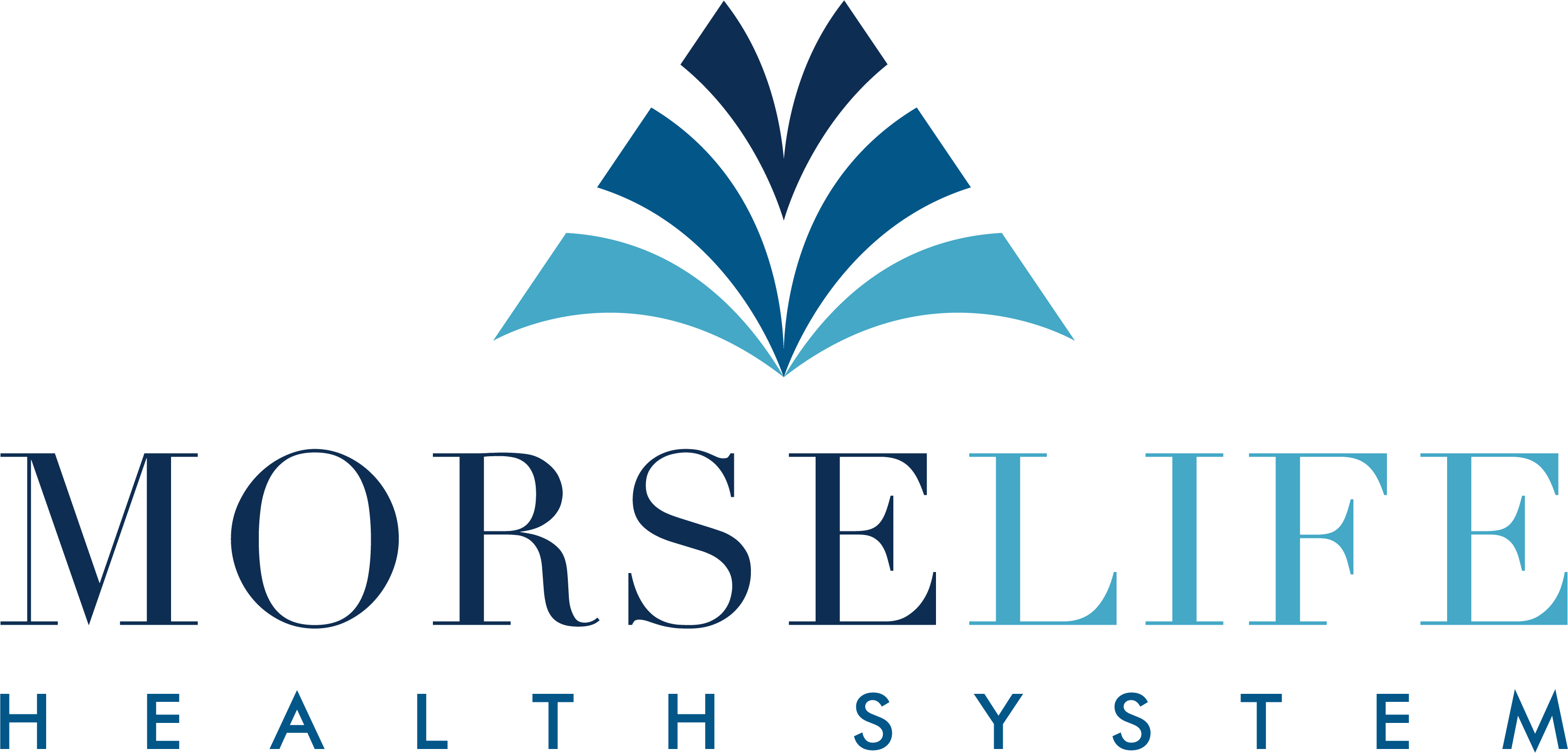 MorseLife Health Systems
