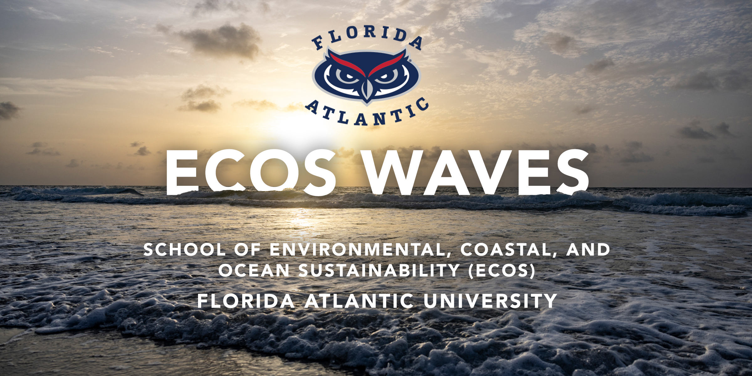 Stay Connected with ECOS Waves Newsletter