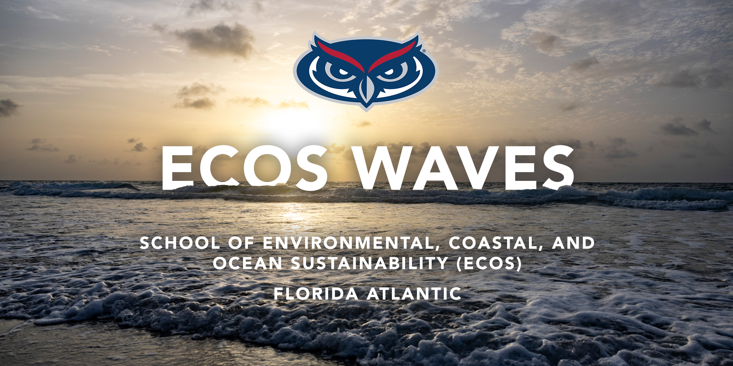 ECOS newsletter header waves
