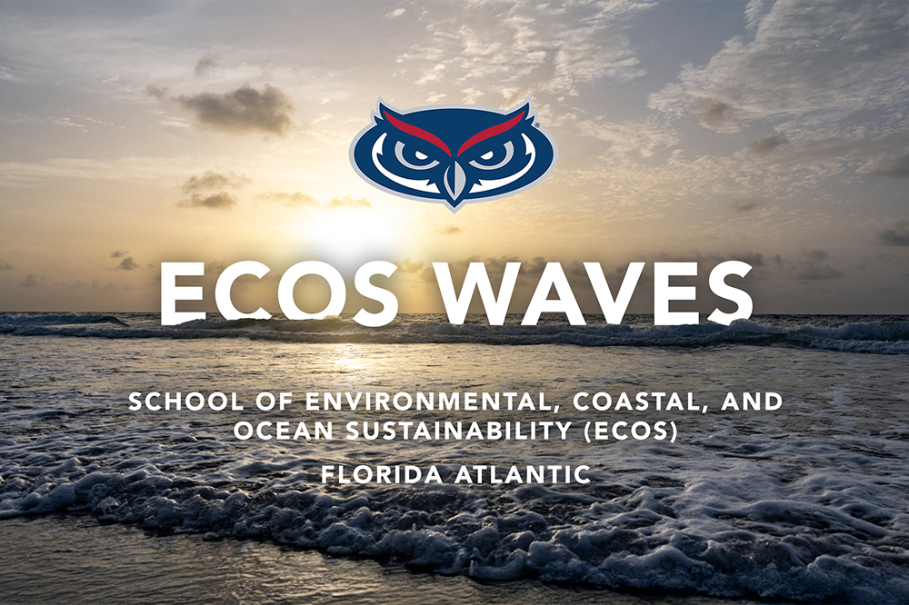 Stay Connected with ECOS Waves Newsletter