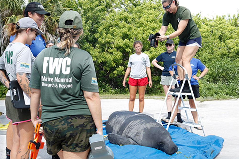 'Harbor Tee' Made it Home