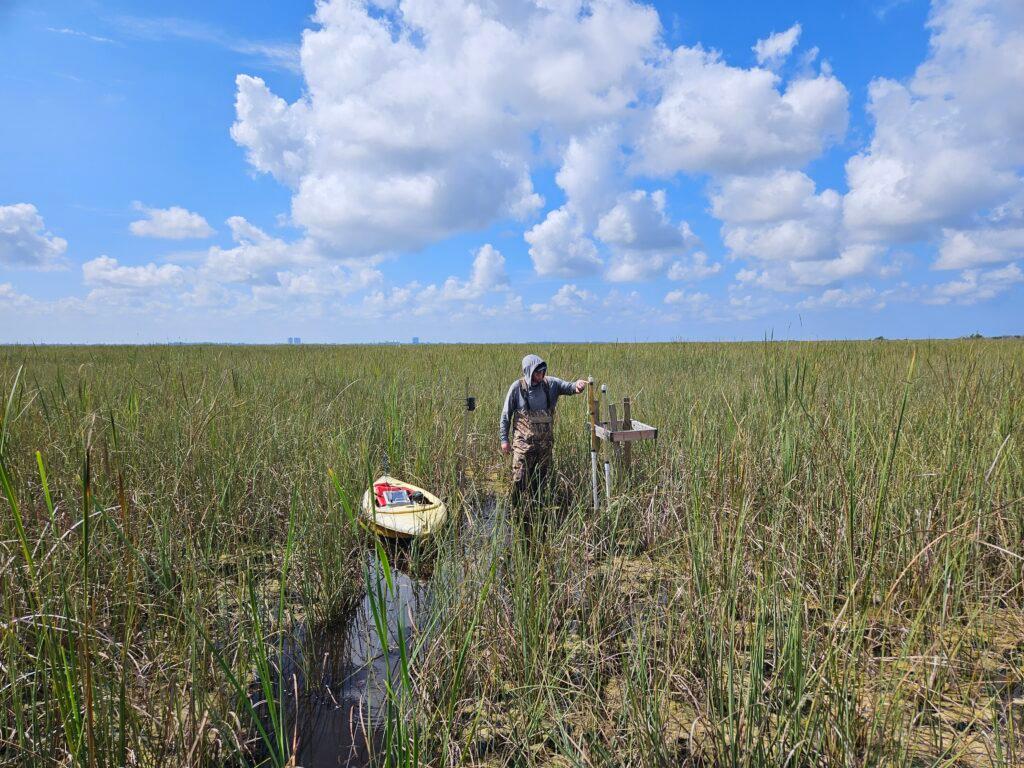 The Invading Sea: Preserving Everglades National Park: Peat Soils Key to Understanding Climate Change and Saving 'River of Grass'