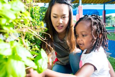 Master's Degree (M.Ed.) in Environmental Education