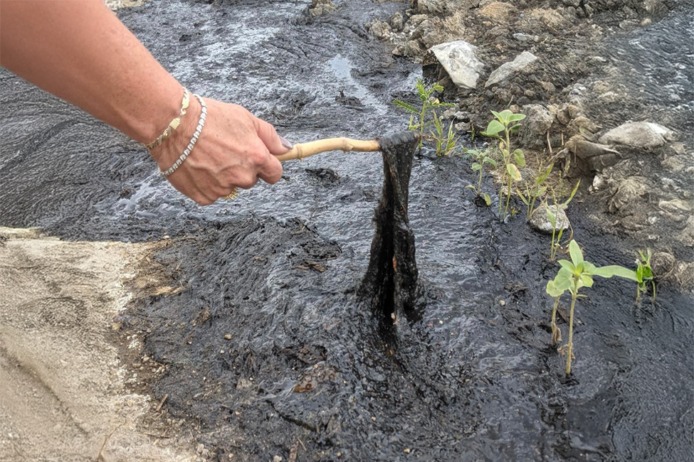 Image of black goo as described in news article.