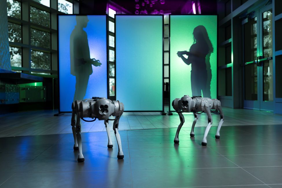 Robotic Dog