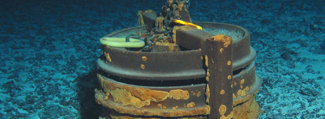 underwater photo of ADCP mooring as a marine habitat