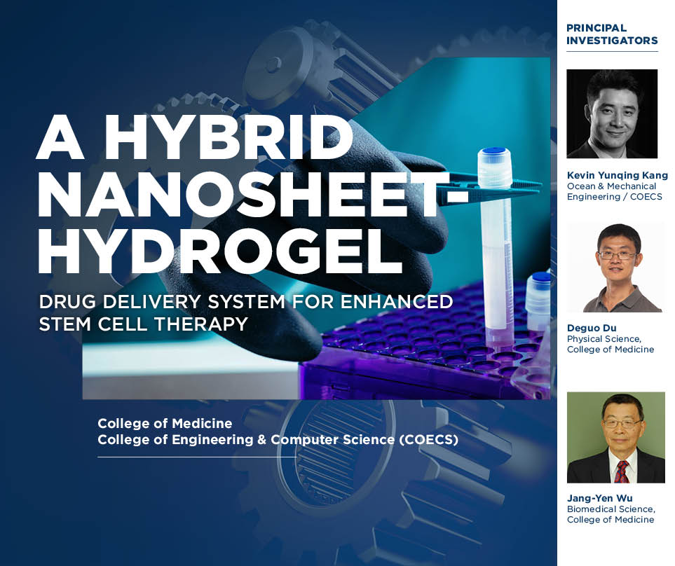 hybrid-nanosheethydrogel