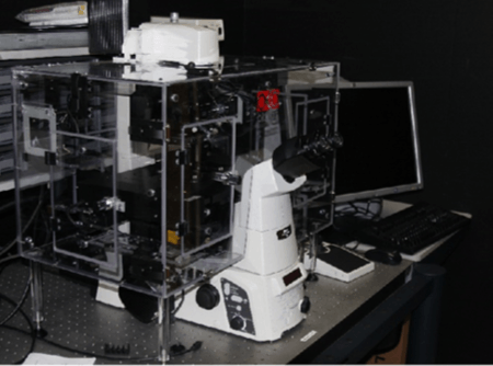 Automated Time-Lapse Flourescence Microscopy