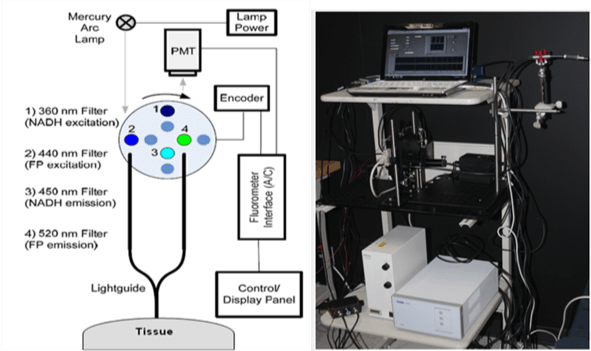 Fluorometer