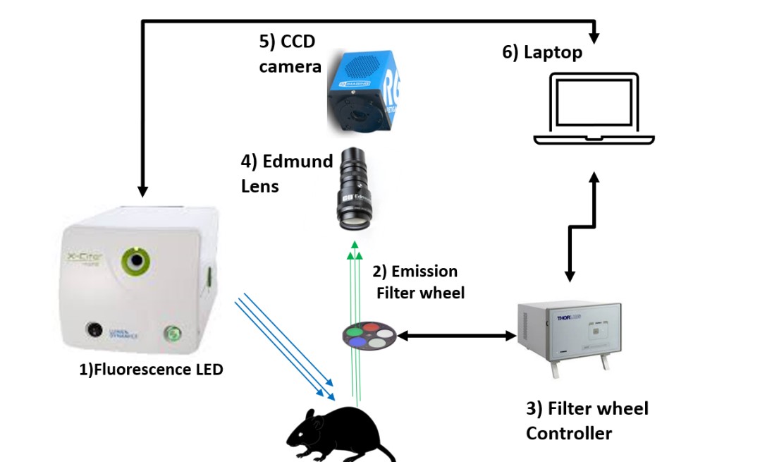 fluorescence imager schematic