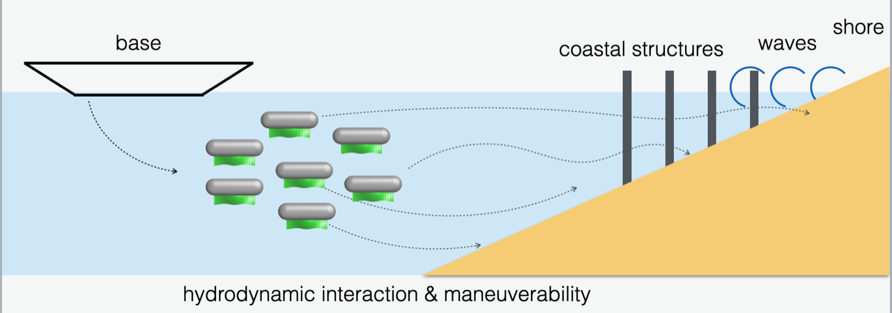 CAREER: Modeling and Control of Undulating-Fin Underwater Vessels in Close Formation