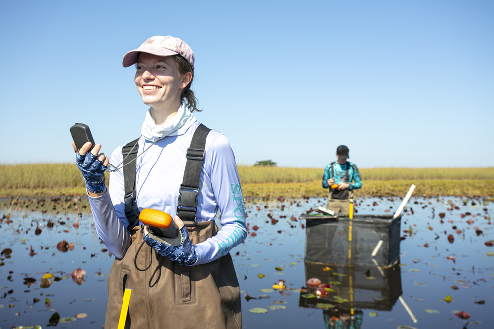 A student stands in the everglades in knee deep water
