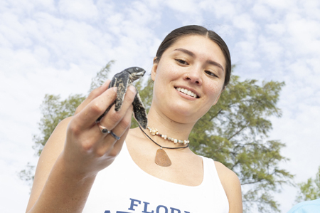Investigate sea turtle nest success rates 
