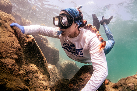 Monitor coral health near coastal communities 