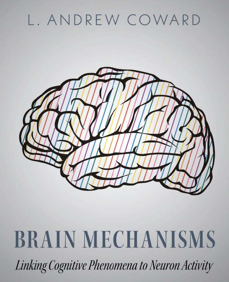 Brain Mechanisms: Linking Cognitive Phenomena to Neuron Activity