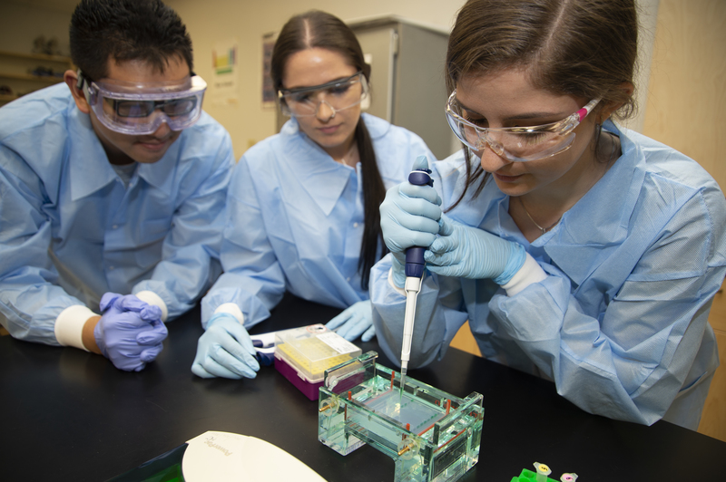 Picture of three students working in a lab
