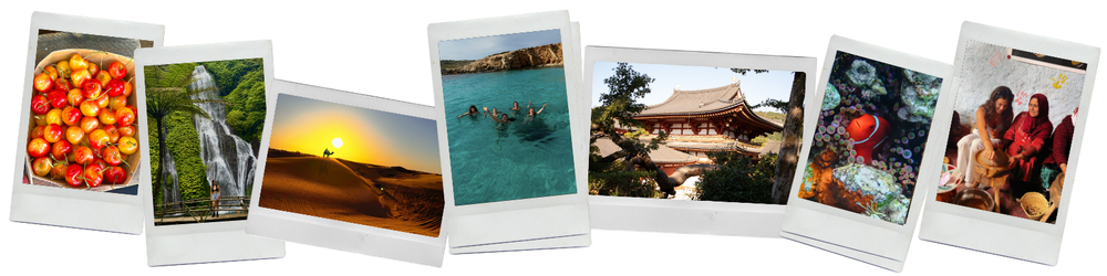 photo contest
