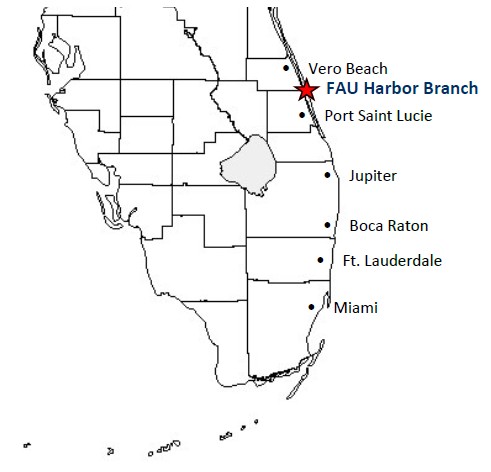sketched map showing southeastern Florida towns