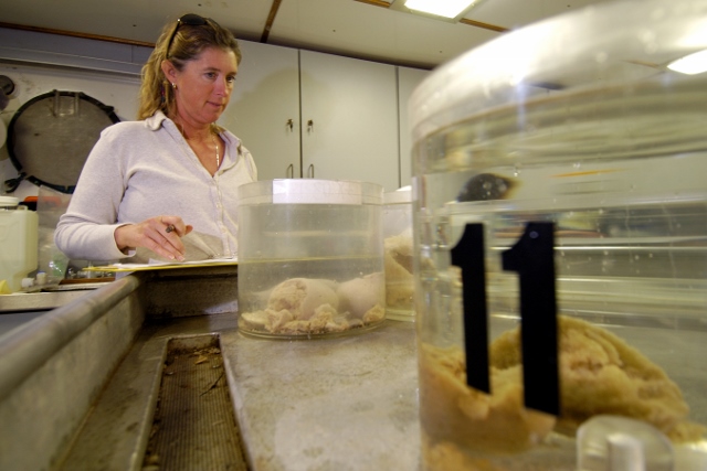 Specimens in wet lab