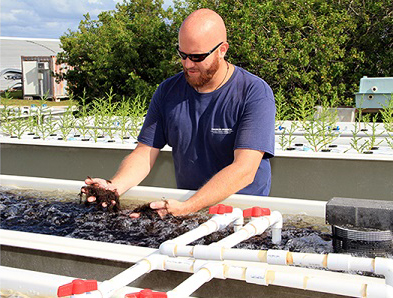 scientists using aquapark system