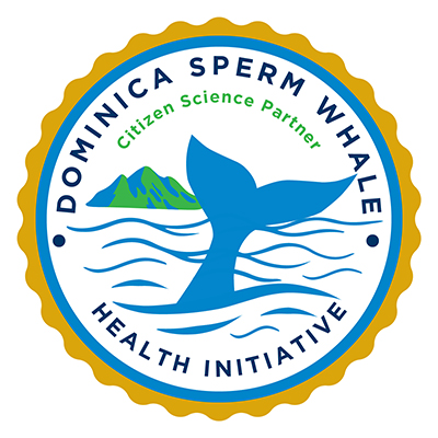 A circular seal for the 'Dominica Sperm Whale Health Initiative.' It features a blue whale tail fluking over ocean waves, with a green mountain in the background. The text 'Dominica Sperm Whale Health Initiative' is written in blue around the border, with 'Citizen Science Partner' in smaller green text inside. The seal is framed by a scalloped gold edge.