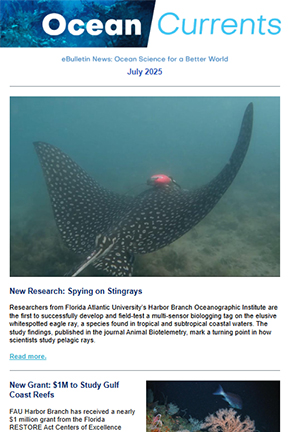 newsletter July 2025