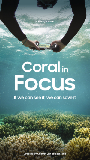 A poster for the documentary 'Coral in Focus,' showing a person holding an underwater camera or phone to photograph a vibrant coral reef below the surface.