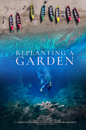 A poster for the film 'Replanting a Garden' featuring an aerial split shot showing colorful wooden boats on a sandy shore at the top and a diver exploring a coral reef in deep blue water below.