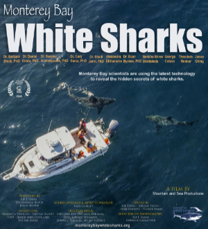 A movie poster for 'Monterey Bay White Sharks,' featuring an aerial view of a small research boat on blue ocean water, with two white sharks swimming nearby.