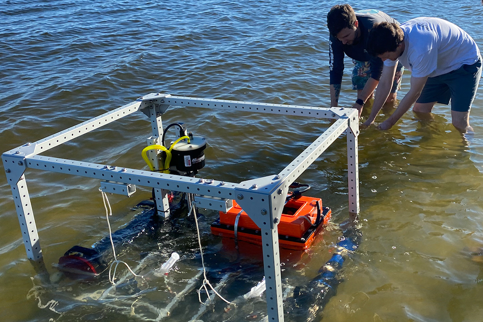 Testing water in Lake Okeechobee