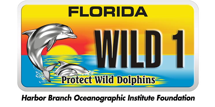 Protect wild dolphins plate