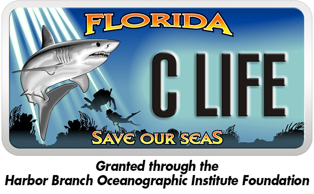 Save Our Seas license plate