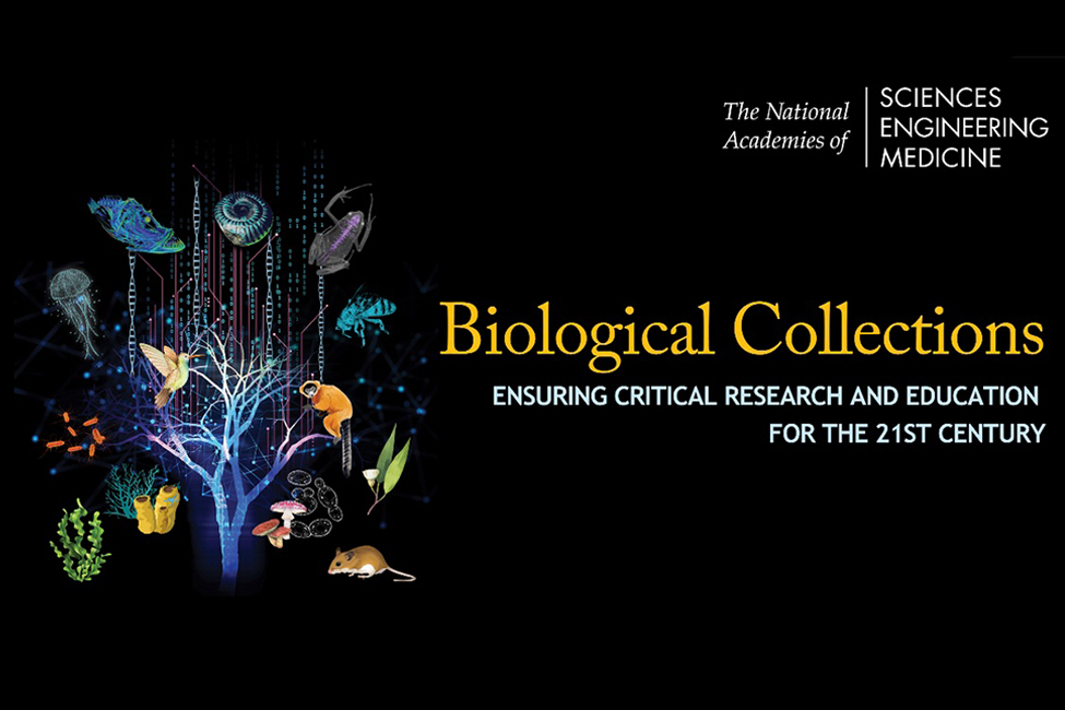 BIOLOGICAL COLLECTIONS