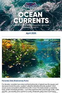 view April 2026 HBOI newsletter