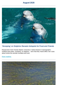 view Aug 2026 HBOI newsletter