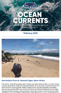 view February 2026 HBOI newsletter