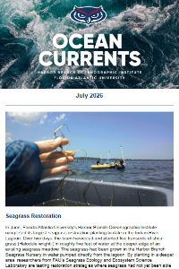 view July 2026 HBOI newsletter