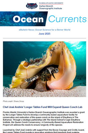 newsletter June 2025