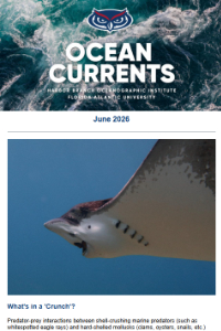 view June 2026 HBOI newsletter
