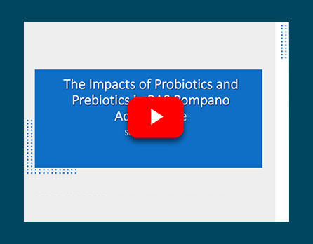 The Impacts of Probiotics and Prebiotics in RAS Pompano Aquaculture (Susan Laramore)