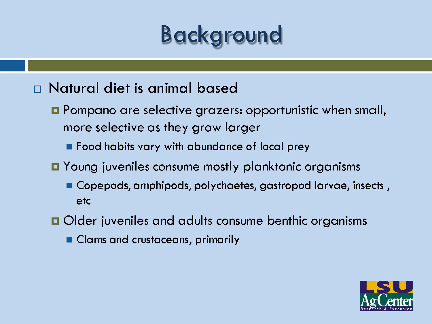 Slide 6: Natural diet and feeding habits of pompano at different life stages