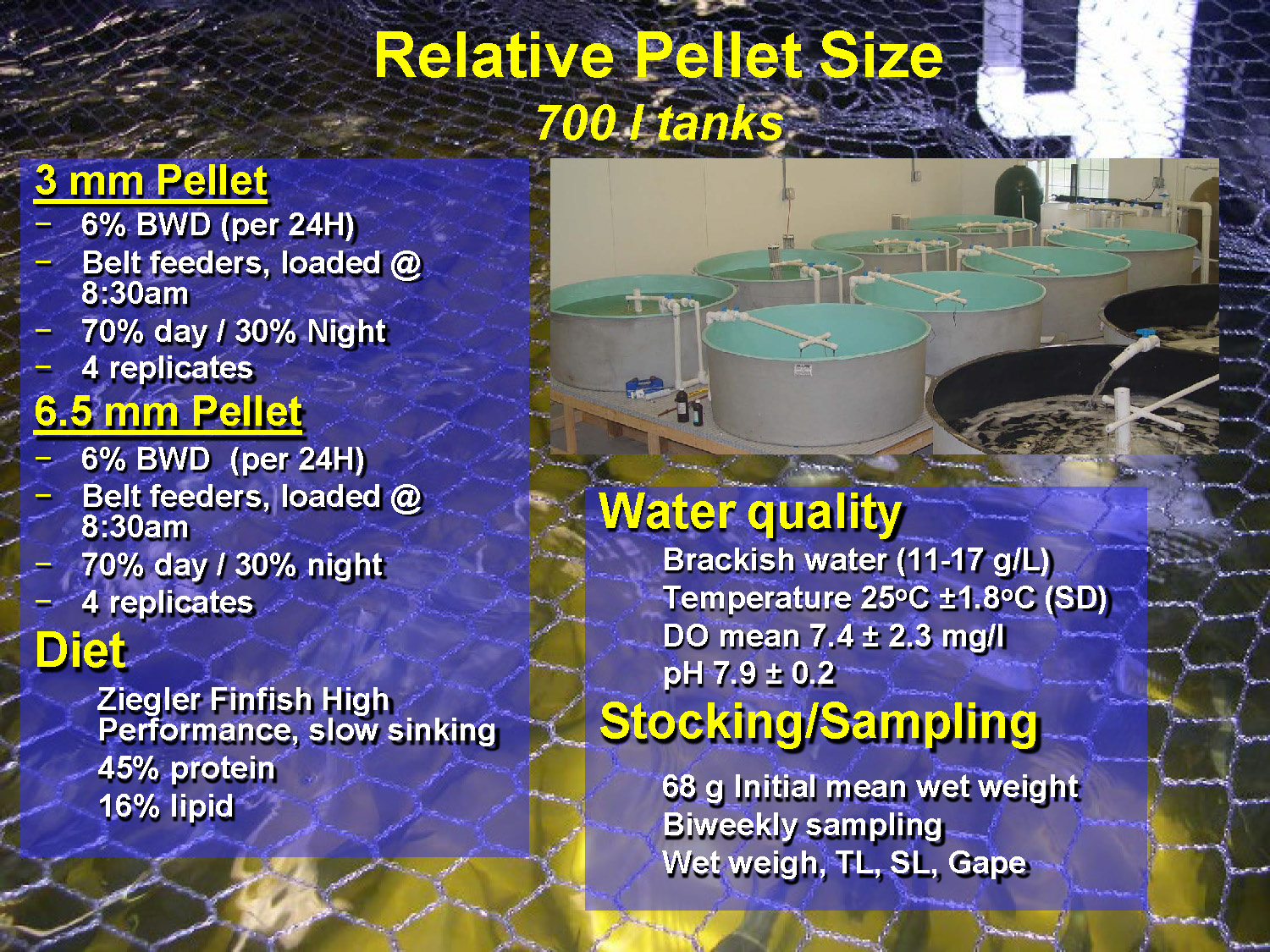 Slide 29: Experimental design for relative pellet size study using 700L tanks comparing 3mm vs 6.5mm pellets