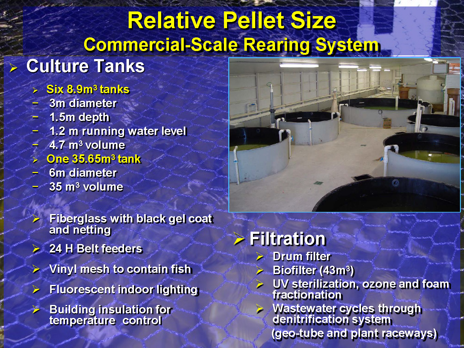 Slide 31: Specifications for commercial-scale rearing system including tank dimensions and filtration details