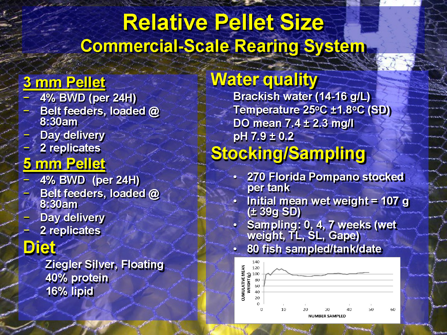 Slide 32: Experimental parameters for commercial-scale pellet size comparison using 3mm vs 5mm pellets