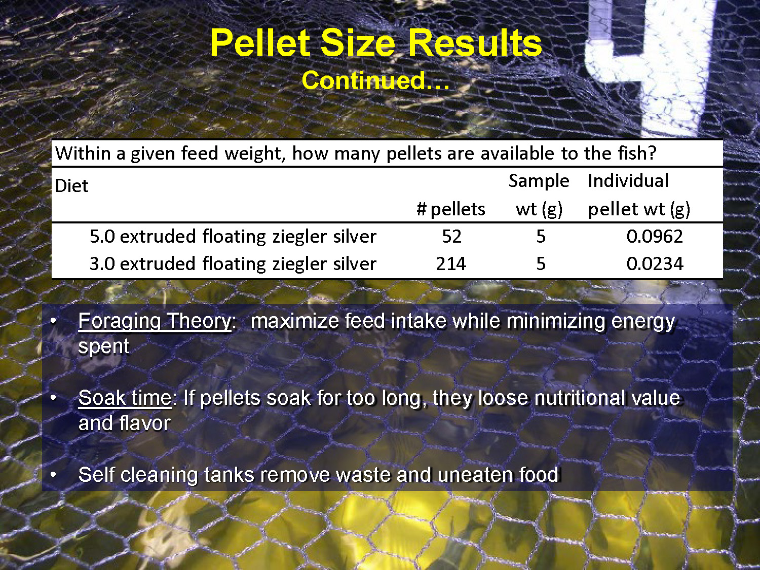 Slide 34: Analysis of pellet count per weight showing foraging theory implications and feed efficiency considerations