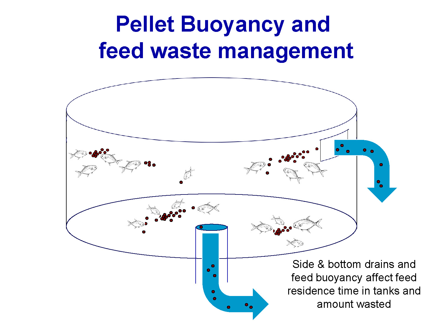 Slide 36: Diagram showing pellet buoyancy and feed waste management with side and bottom drains affecting feed residence time